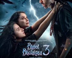 Bhool Bhulaiyaa 3 (2024) Hindi NF HDRip x264 AAC 1080p 720p 480p ESub