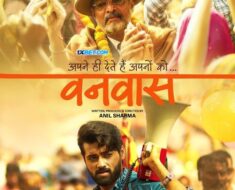 Vanvaas (2024) Hindi 1080p CAMRip x264 AAC